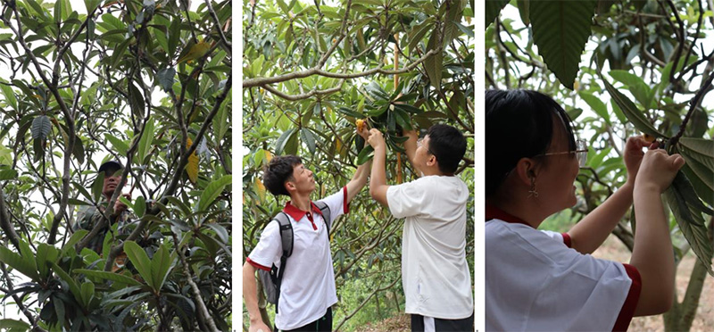 苏州百年职业学院