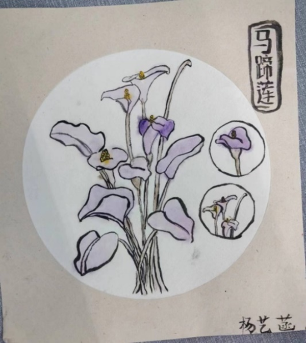 苏州百年职业学院